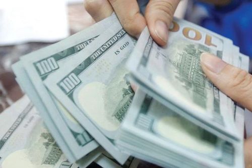Kho bạc Nhà nước dự kiến thu mua 350 triệu USD, quy đổi 8.000 tỷ đồng