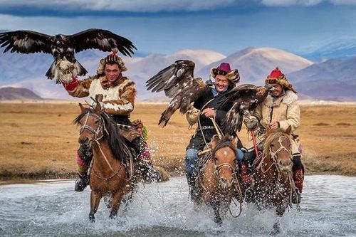 Độc chiêu dùng đại bàng săn cáo, chó sói cực 'đỉnh' của người Kazakhstan