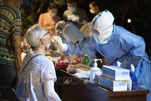 Nghiên cứu khoa học: COVID-19 có khả năng đẩy nhanh tốc độ lão hóa của phổi