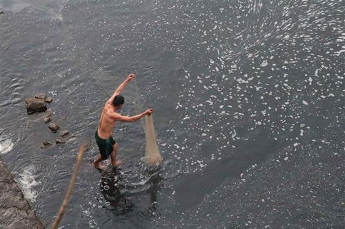 Sông Nậm Rốm ô nhiễm nghiêm trọng do các cơ sở chế biến tinh bột dong riềng xả thải