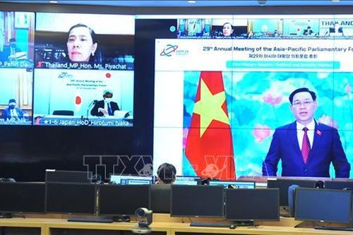 Nhìn lại APPF-29: Thúc đẩy liên kết Nghị viện châu Á - Thái Bình Dương
