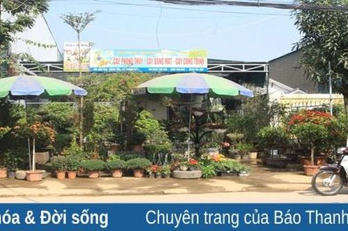 Thị trường hoa, cây cảnh đang 'nóng' lên