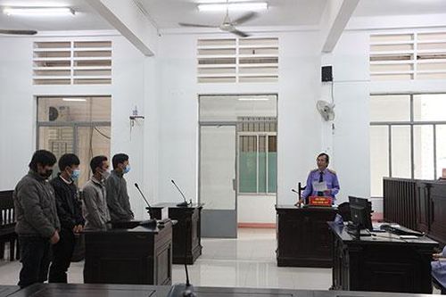 Dắt trộm bò, cả nhóm vào tù