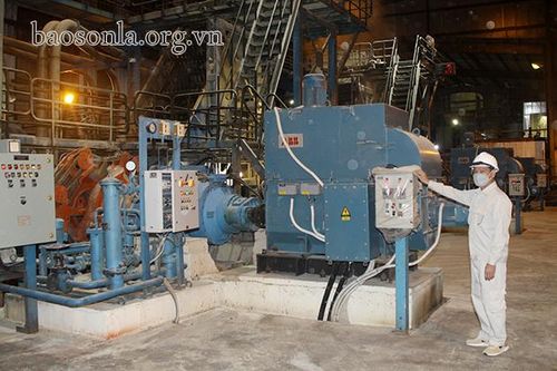 Hài hòa lợi ích giữa doanh nghiệp và người trồng mía