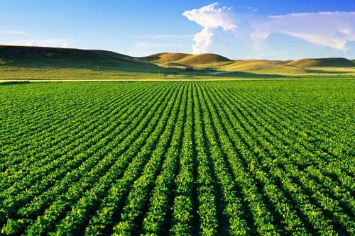Ô nhiễm nhựa đe dọa an ninh lương thực, sức khỏe và môi trường toàn cầu