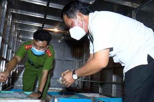 Xe tải vận chuyển hơn 300kg tôm chứa tạp chất đi tiêu thụ bị 'tóm'