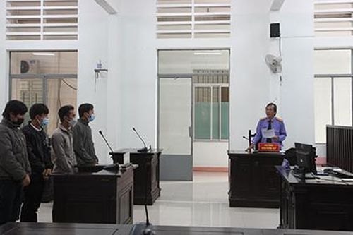 Nhóm thanh niên thuê ô tô đi trộm bò của người dân lãnh án