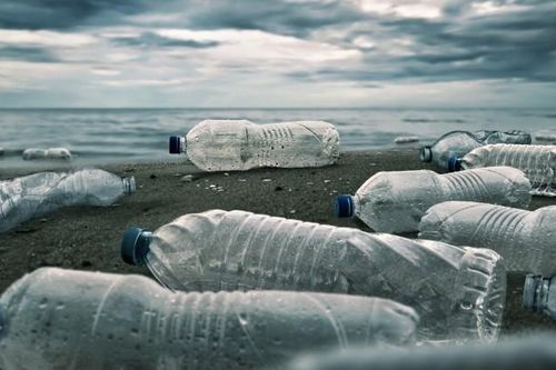 Vi khuẩn tiến hóa để phân hủy nhựa