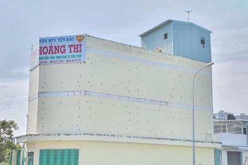 Khó quản lý nuôi chim yến ở khu dân cư tại Bạc Liêu