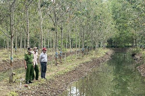 Rủ nhau đi chơi, 2 bé gái 9 tuổi ở Bình Phước tử vong dưới mương nước giữa rừng cao su