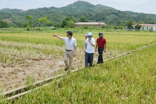 Đảm bảo nguồn nước phục vụ sản xuất vụ đông xuân