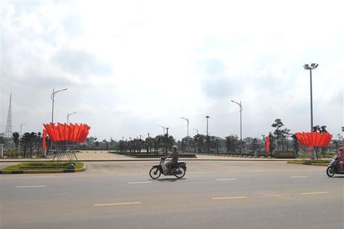 Giá thuê địa điểm bán hoa Tết tại Công viên Fidel từ 5,1 - 11,1 triệu đồng/lô