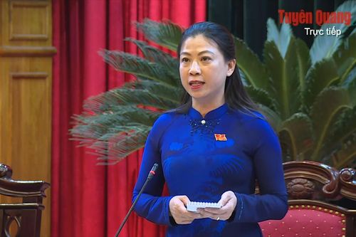 Phát biểu kết luận phần thảo luận của đồng chí Lê Thị Kim Dung, Phó Bí thư Thường trực Tỉnh ủy, Chủ tịch HĐND tỉnh tại Kỳ họp thứ Ba, HĐND tỉnh khóa XIX, nhiệm kỳ 2021-2026