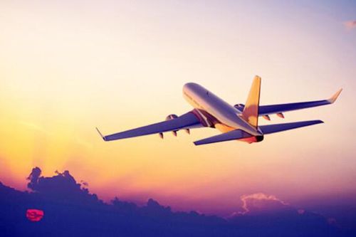 Chính phủ các quốc gia làm gì để chống tê liệt ngành hàng không?