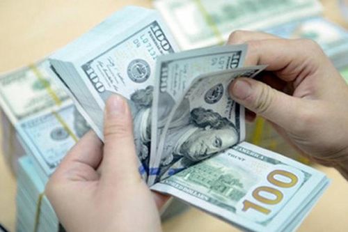 Kho bạc Nhà nước tăng thu mua ngoại tệ