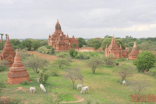 ADB giúp Đông Nam Á phục hồi du lịch hậu Covid-19