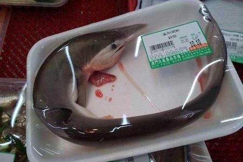 Rùng mình những mặt hàng kỳ dị bán trong siêu thị