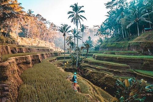 Đảo Bali chỉ đón vỏn vẹn 45 du khách Tây trong năm 2021