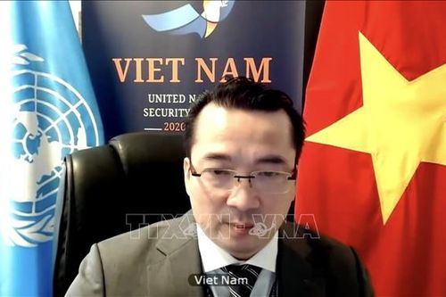 Việt Nam ủng hộ tăng cường hợp tác giữa Hội đồng Bảo an và AUPSC