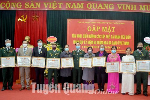 Hội Nạn nhân chất độc da cam/dioxin tỉnh: Tôn vinh, biểu dương các tập thể, cá nhân tiêu biểu