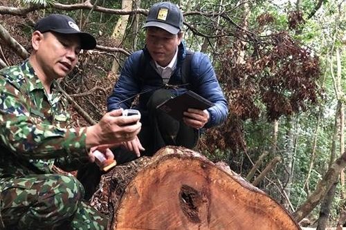 Lại chuyện 'con voi chui lọt lỗ kim'(!)