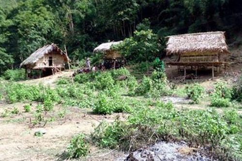 Thảm án giữa rừng già khiến 4 người thiệt mạng (P1): Người thanh niên bí ẩn là ai?