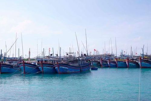 Phòng chống siêu bão RAI: Phải đưa hết tàu thuyền vào bờ