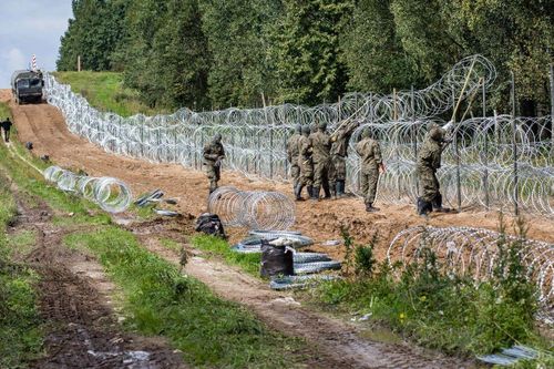 Tường biên giới của Ba Lan với Belarus sẽ cắt đôi khu rừng cổ nhất Châu Âu