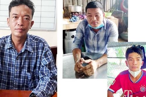 'Cò lúa' ép nông dân, lừa đảo thương lái