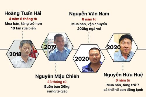 Các vụ án động vật hoang dã tại cảng biển chính là 'gót chân Asin' trong xử lý tội phạm?