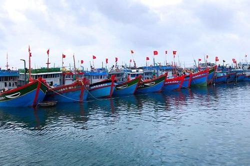 Vì sao 11 tàu thuyền đang hoạt động ở Hoàng Sa không vào bờ khi có bão?