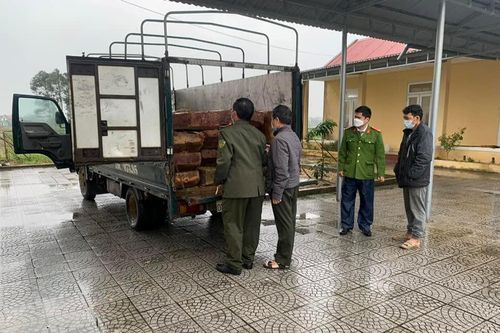 Phát hiện xe tải chở hàng chục phách gỗ không rõ nguồn gốc