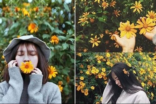 Trong sắc xanh của rừng