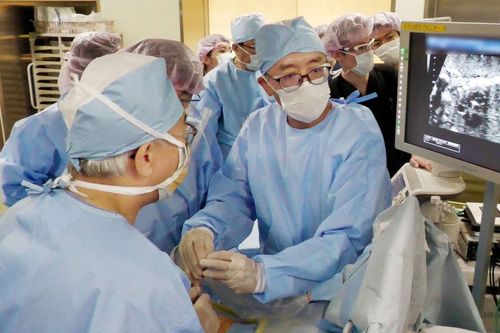 Nhật Bản: Lần đầu phẫu thuật điều trị thành công cho thai nhi trong bụng mẹ