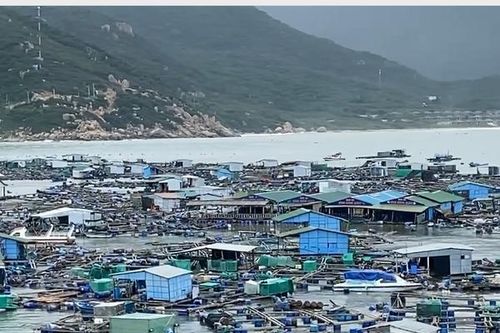 Khánh Hòa: Gần 100 lồng bè bị sóng đánh vỡ, ước thiệt hại 200 tỷ đồng