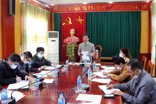 Khẩn trương khắc phục việc cấp bưởi giống kém chất lượng ở Ẳng Tở