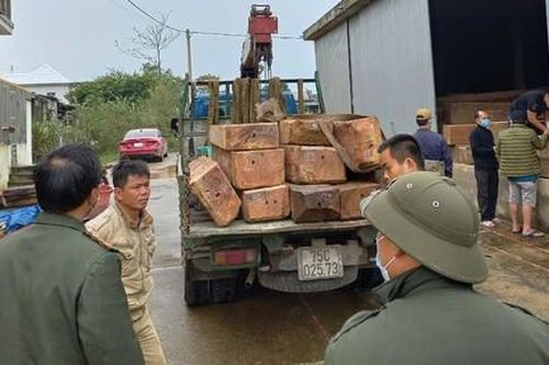 Công an bắt vụ vận chuyển, tàng trữ gỗ lậu