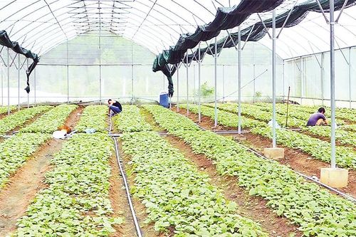 Điểm nhấn trong xây dựng nông thôn mới ở Thạch Thất