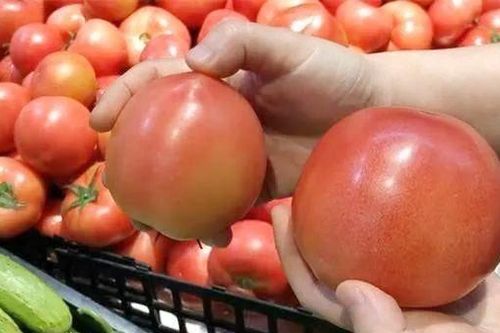 Giá cà chua tăng 'sốc' khắp miền Bắc khiến nhiều bà nội trợ phải 'ngã ngửa'