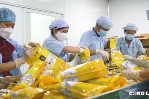 Cần làm gì để đẩy mạnh thu hút nguồn lao động trở lại TP. HCM làm việc sau Tết?