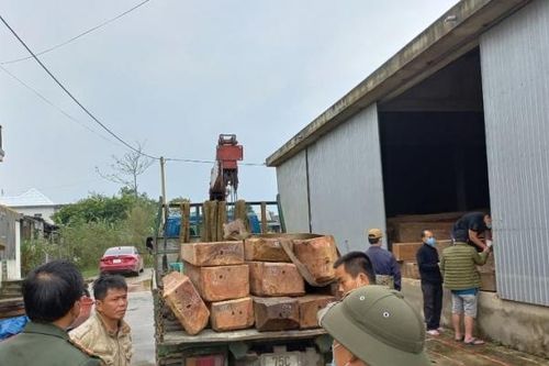 Thừa Thiên Huế: Bắt quả tang xe tải vận chuyển hàng nghìn m3 gỗ lậu