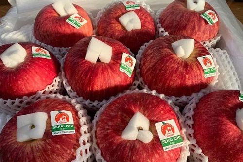 Táo Nhật khổng lồ 1 quả nặng 1 kg đổ về chợ Việt