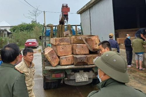 Bắt xe tải, phát hiện kho gỗ không nguồn gốc trong xưởng cưa