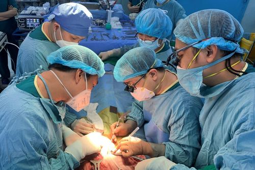 TP Hồ Chí Minh: Ghép gan thành công cho bé gái 7 tuổi bị xơ gan giai đoạn cuối