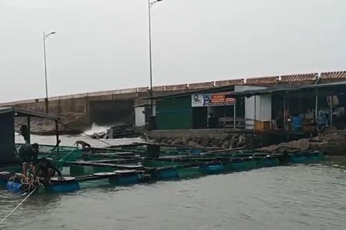 Bão số 9 gây nhiều thiệt hại ở tỉnh Khánh Hòa
