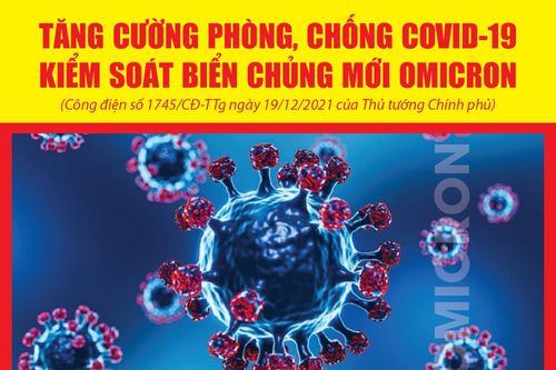 Thủ tướng yêu cầu 'không để bị động' trước biến chủng mới Omicron