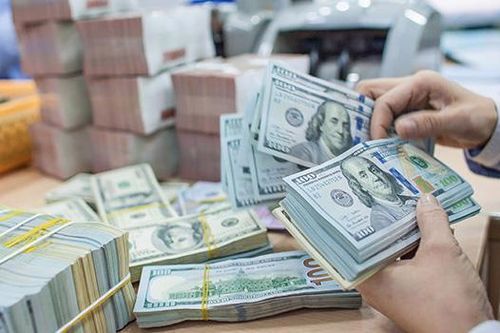 Kho bạc Nhà nước đẩy mạnh mua USD cuối năm