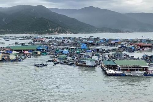 'Thủ phủ tôm hùm' gặp thiệt hại 200 tỷ vì bão Rai