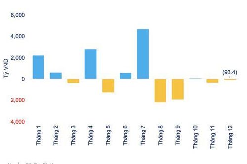 13 quỹ ETF ghi nhận dòng tiền vào ròng 4.700 tỷ đồng năm 2021, tập trung chủ yếu ở quỹ nội