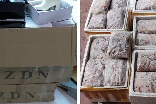 Thu giữ 200 đôi giày và hơn 500 kg sản phẩm động vật đông lạnh không rõ nguồn gốc